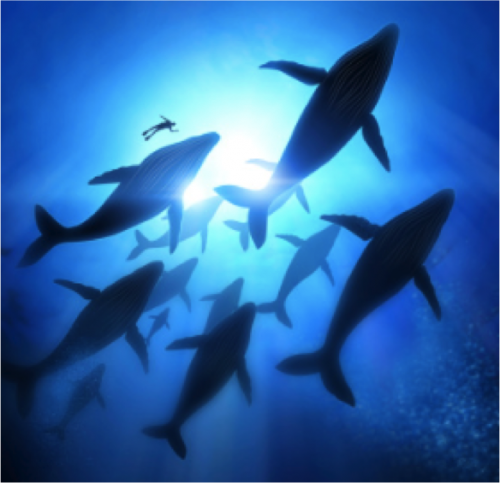 A System For Continuous, Accurate, Wide-Scale Ocean Monitoring for Use in Marine Mammal Detection, Seismic Surveying, and Naval Sonar Surveillance